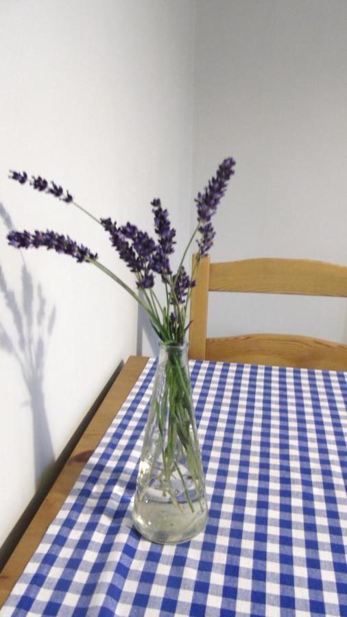 Apartament Aleksander Ciechocinek Luaran gambar